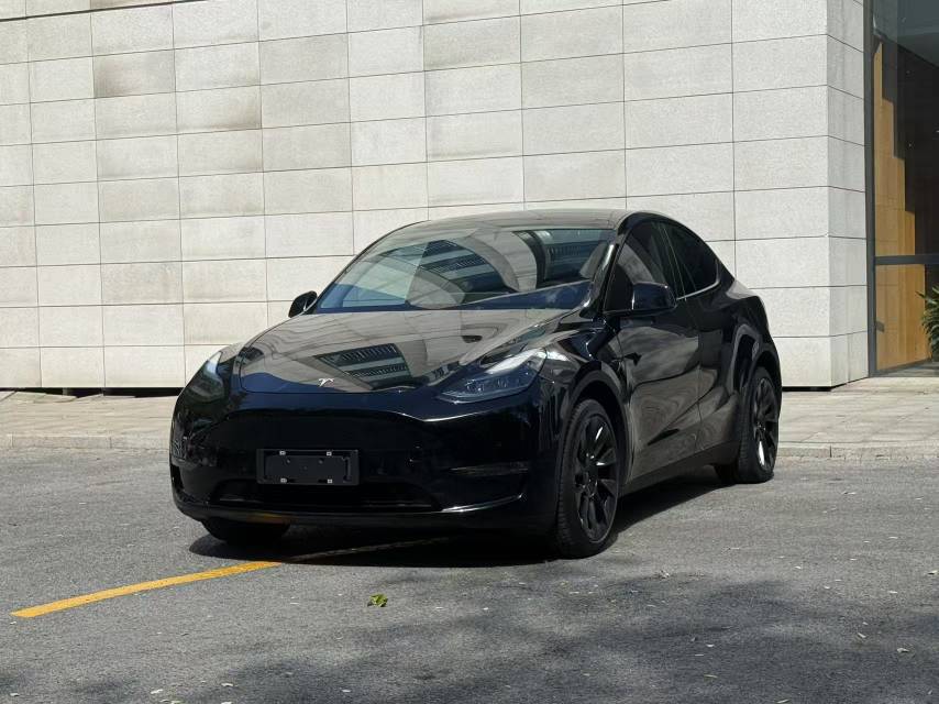 Tesla Model Y 2021 car image 