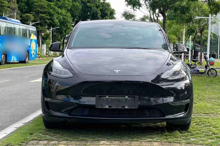 Tesla Model Y 2021 #3 Tesla Model Y 2021 car image #3