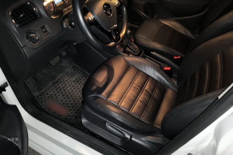 Volkswagen Polo 2016 car image #17