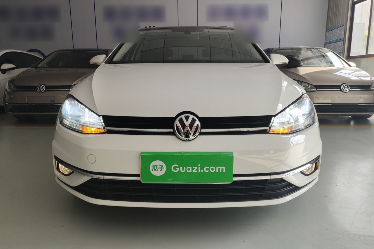 Volkswagen Golf 2019 imagen de coche #3