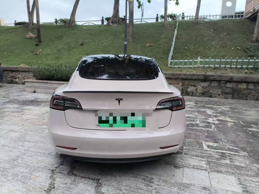 Tesla Model 3 2020 car image #3
