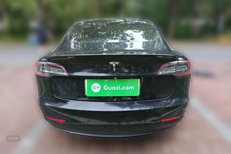 Tesla Model 3 2020 car image #6