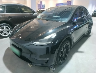 Tesla Model Y 2021 immagine di auto 