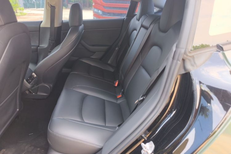 Tesla Model 3 2021 car image #17
