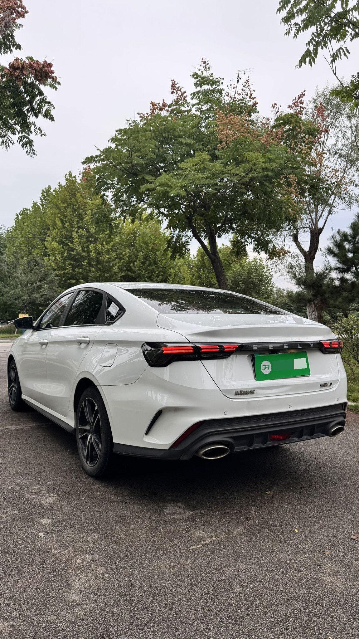 GEELY Binray 2023 immagine di auto #9