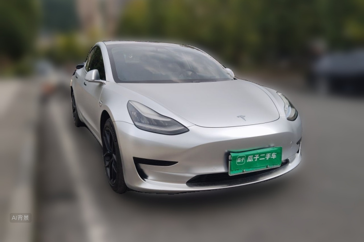 Tesla Model 3 2020 car image #4