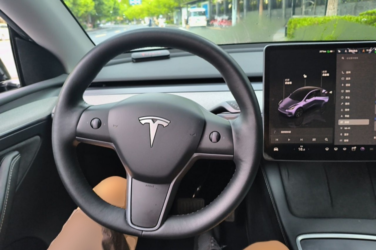 Tesla Model Y 2024 car image #15