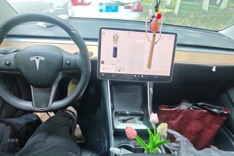 Tesla Model 3 2020 car image #11