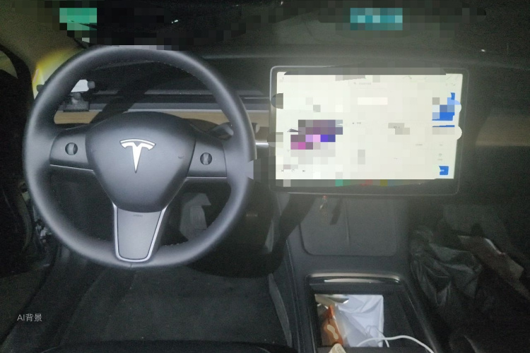 Tesla Model 3 2022 immagine di auto #11
