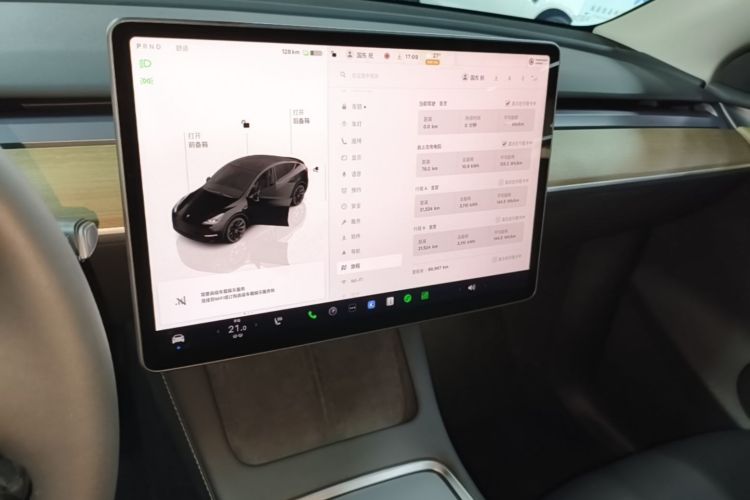 Tesla Model Y 2022 car image #13