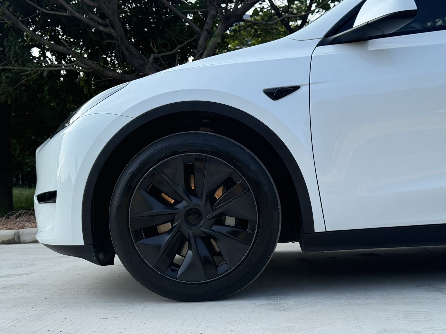 Tesla Model Y 2024 #10 Tesla Model Y 2024 car image #10
