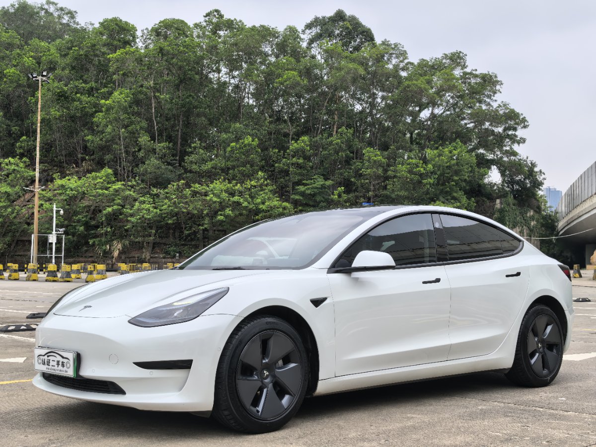 Tesla Model 3 2022 Tesla Model 3 2022 car image