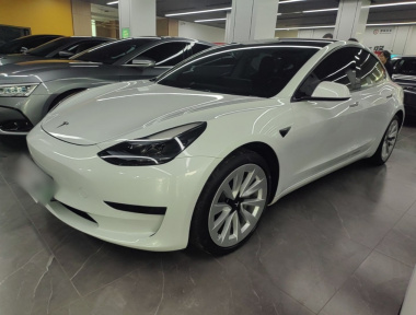 Tesla Model 3 2021 Tesla Model 3 2021 car image