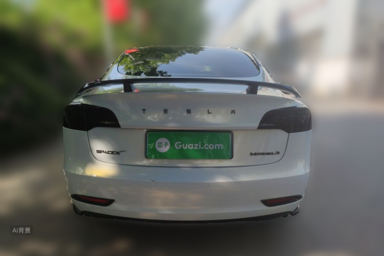 Tesla Model 3 2021 car image #6