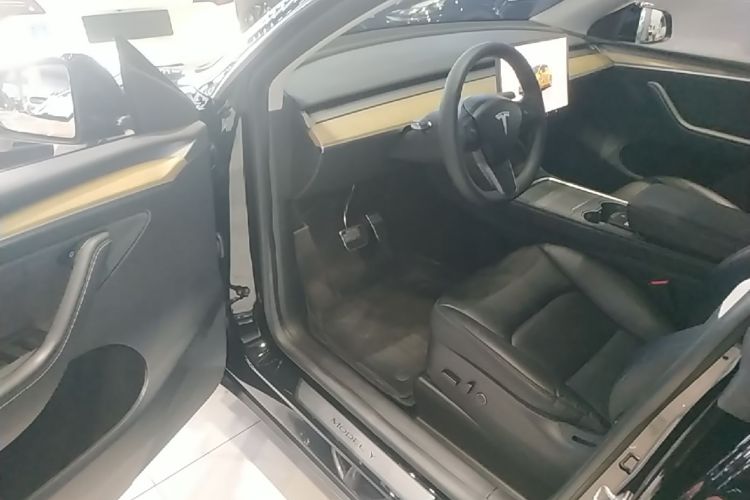 Tesla Model Y 2023 car image #12