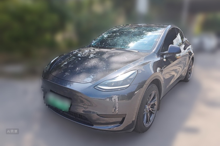 Tesla Model Y 2024 car image #2