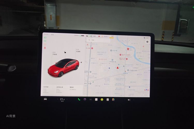 Tesla Model 3 2020 car image #15