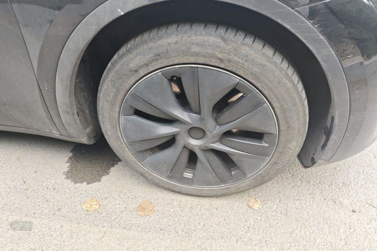 Tesla Model Y 2023 car image #9