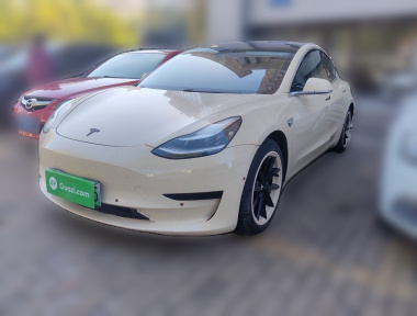Tesla Model 3 2020 Tesla Model 3 2020 immagine di auto