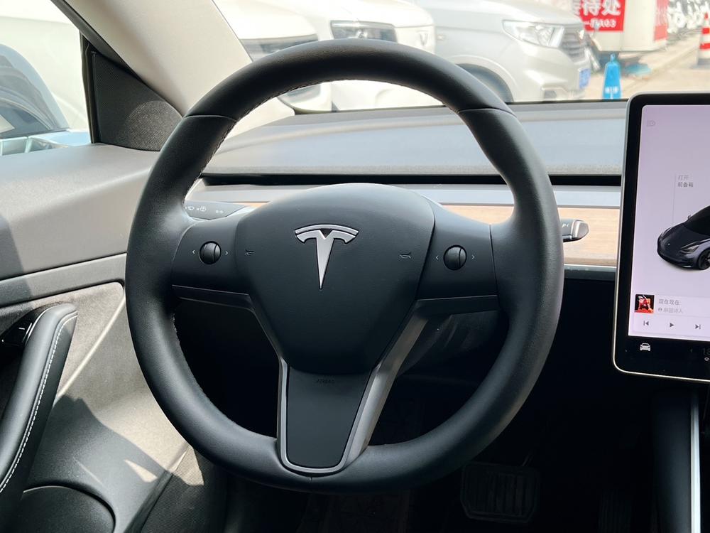 Tesla Model 3 2020 car image #8