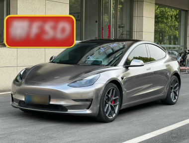 Tesla Model 3 2022 car image 
