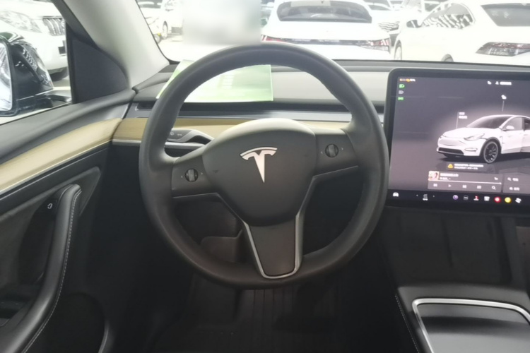 Tesla Model Y 2022 car image #15