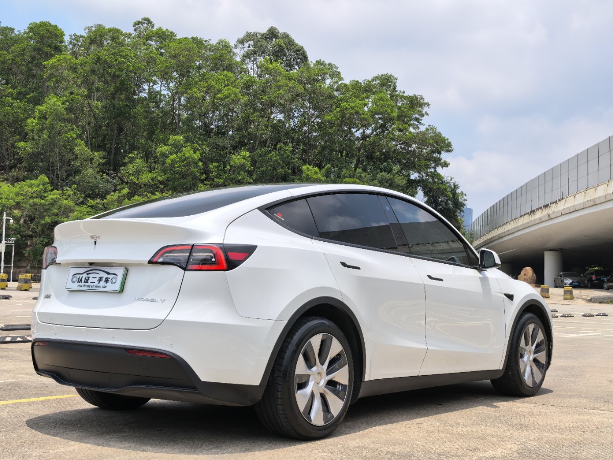 Tesla Model Y 2021 car image #10