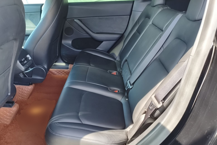 Tesla Model Y 2022 car image #13