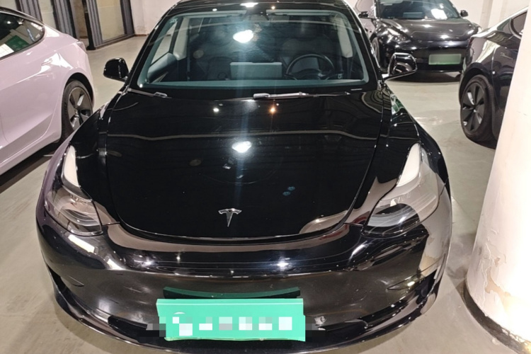 Tesla Model 3 2022 #3 Tesla Model 3 2022 car image #3