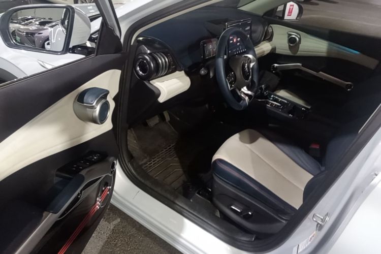 BYD Yuan Plus 2022 car image #16