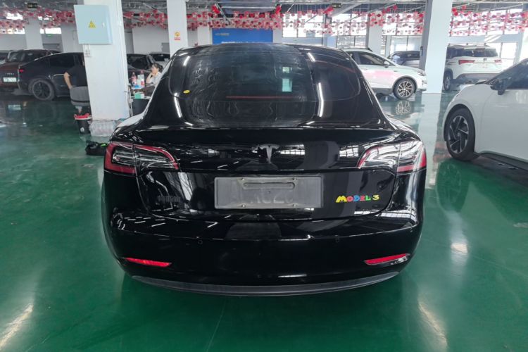 Tesla Model 3 2023 imagem de carro #6