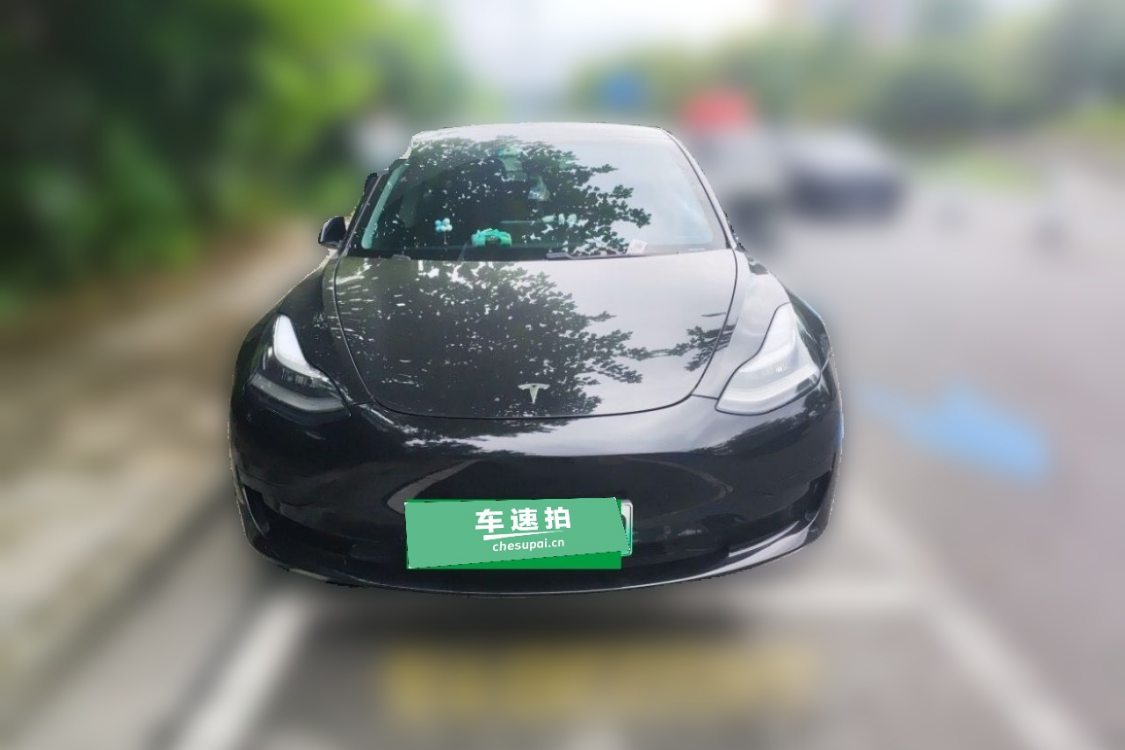 Tesla Model 3 2020 #5 Tesla Model 3 2020 car image #5
