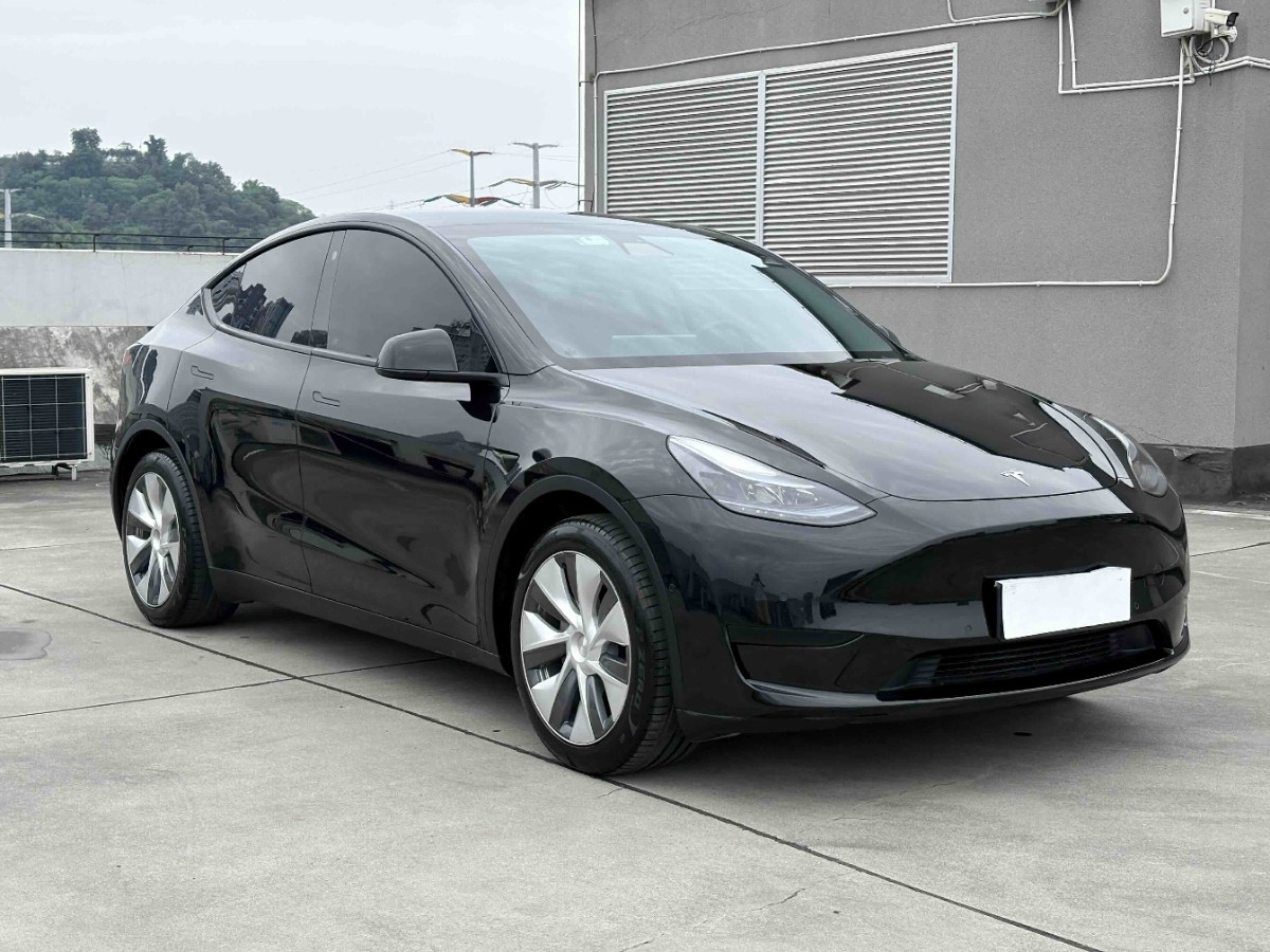 Tesla Model Y 2023 Tesla Model Y 2023 car image
