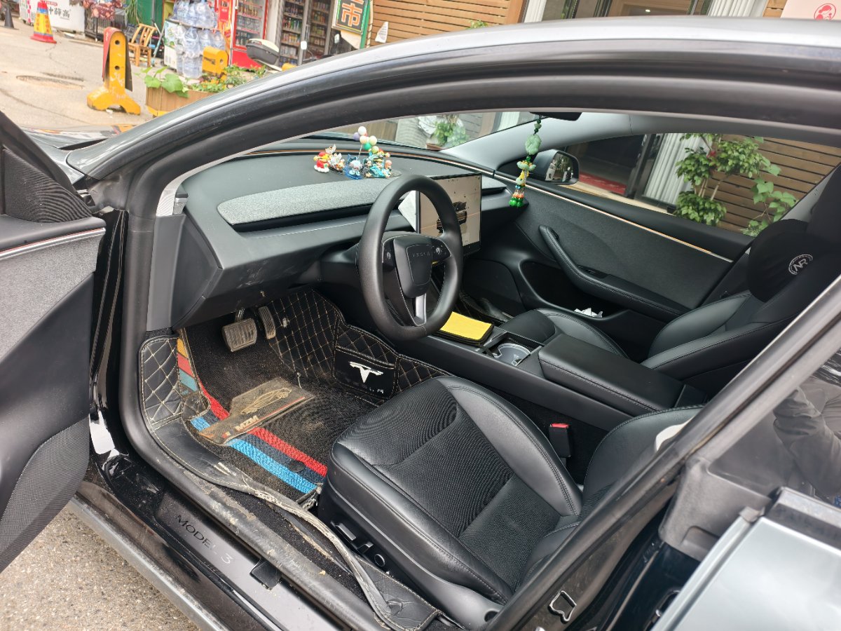 Tesla Model 3 2024 #4 Tesla Model 3 2024 car image #4