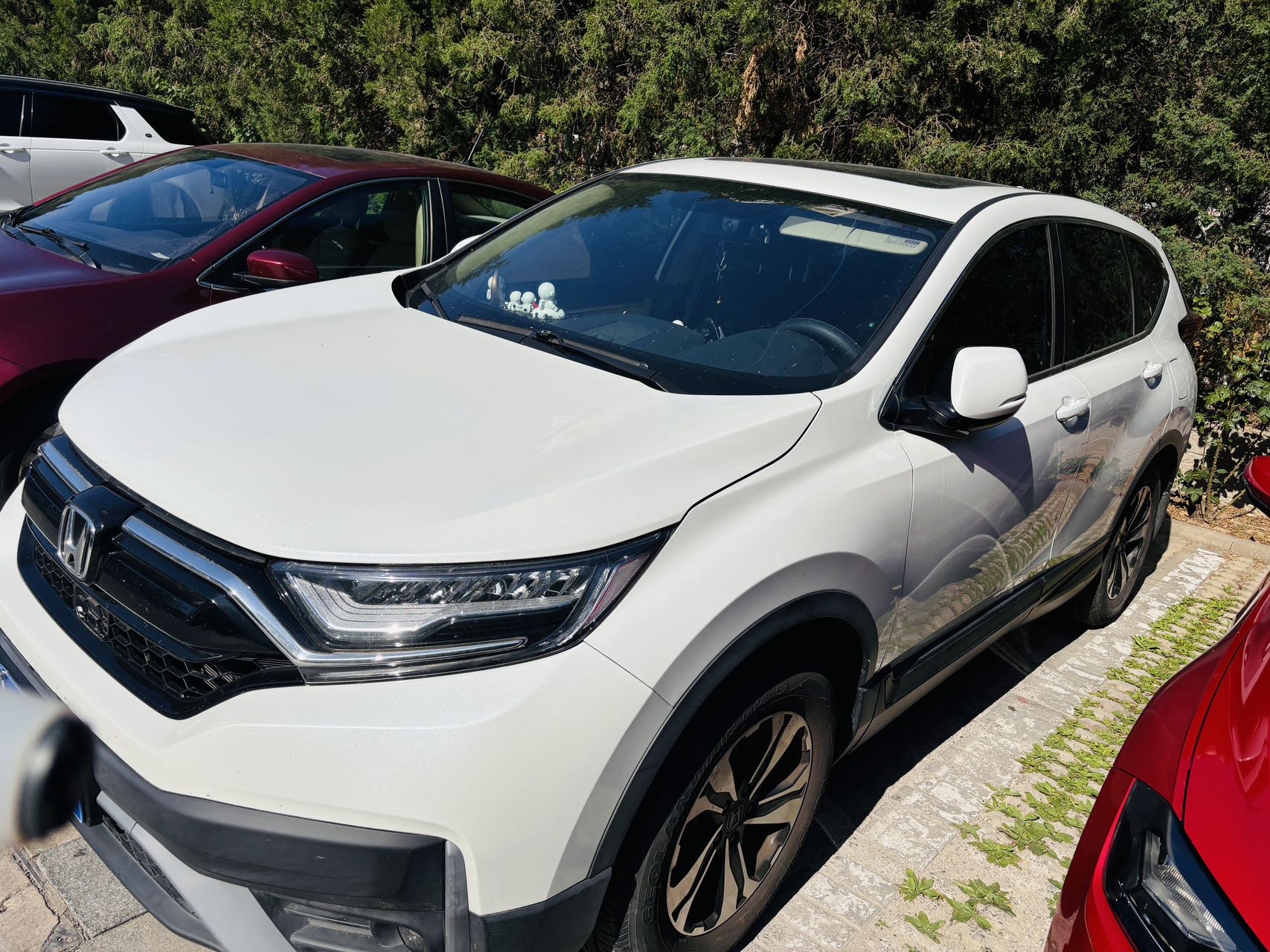 Honda CR-V 2021 car image 