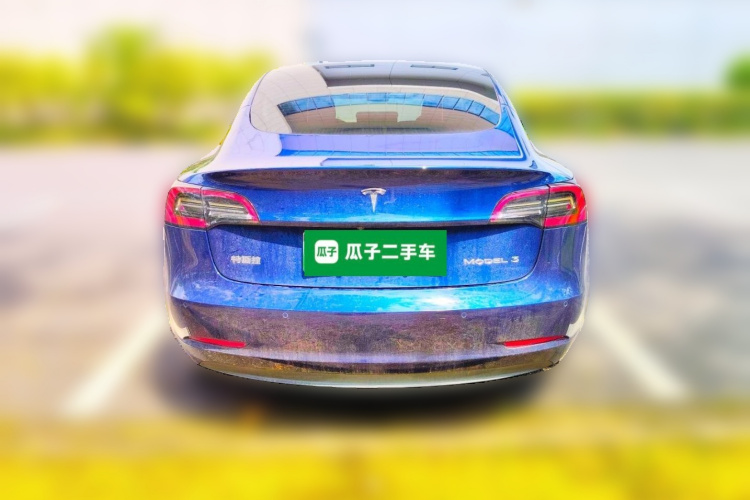 Tesla Model 3 2021 #4 Tesla Model 3 2021 immagine di auto #4