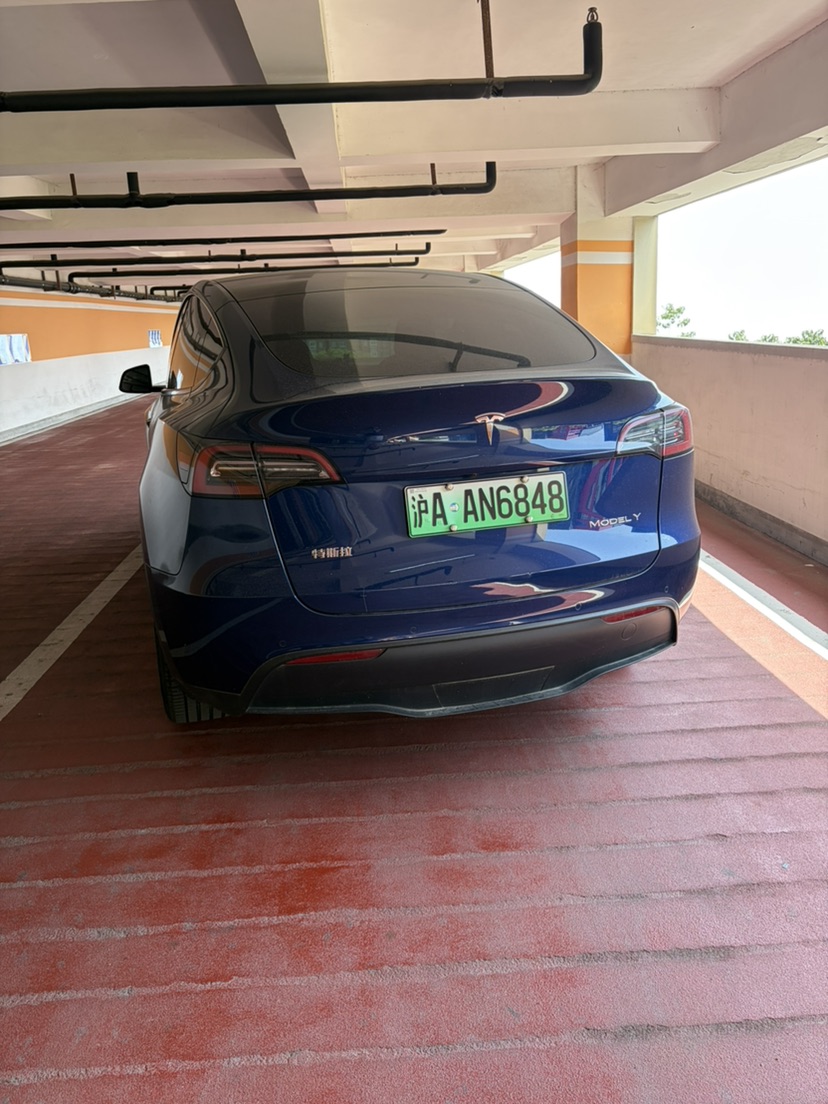 Tesla Model Y 2021 #7 Tesla Model Y 2021 car image #7