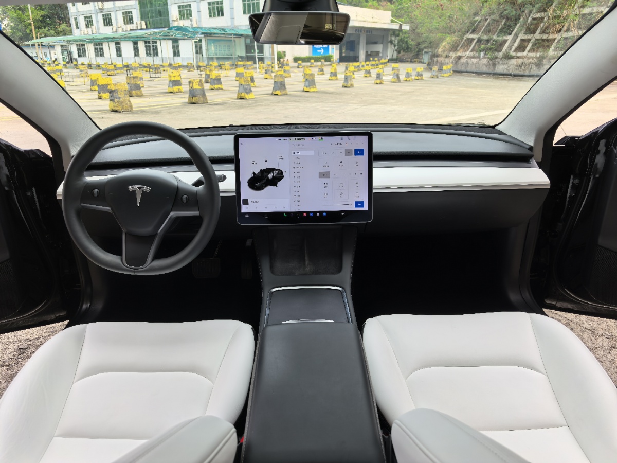 Tesla Model 3 2021 car image #6
