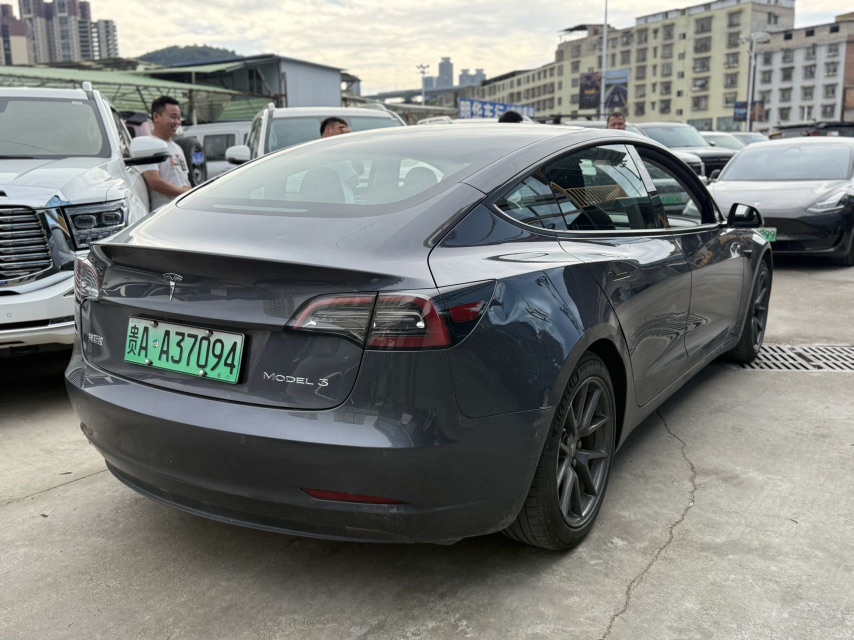 Tesla Model 3 2021 #2 Tesla Model 3 2021 car image #2