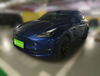 Tesla Model Y 2021 Tesla Model Y 2021 car image
