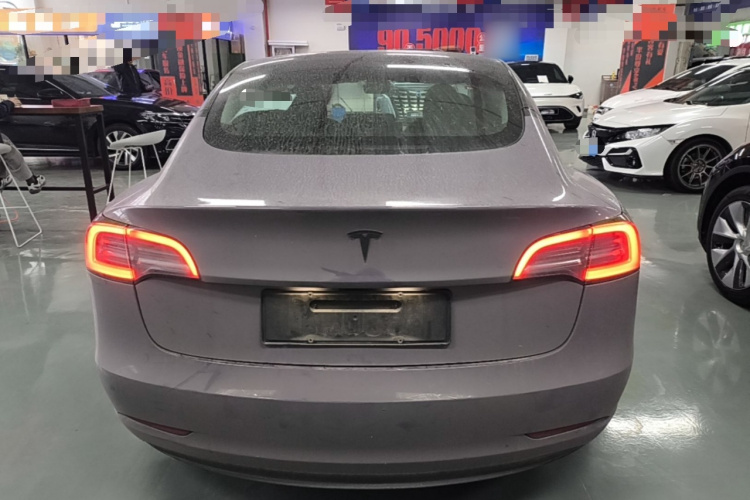 Tesla Model 3 2021 car image #4