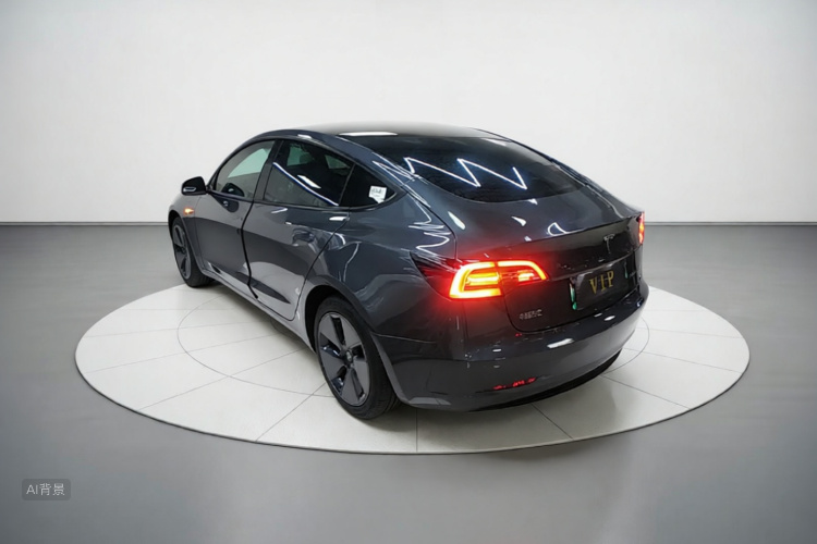 Tesla Model 3 2022 car image #5