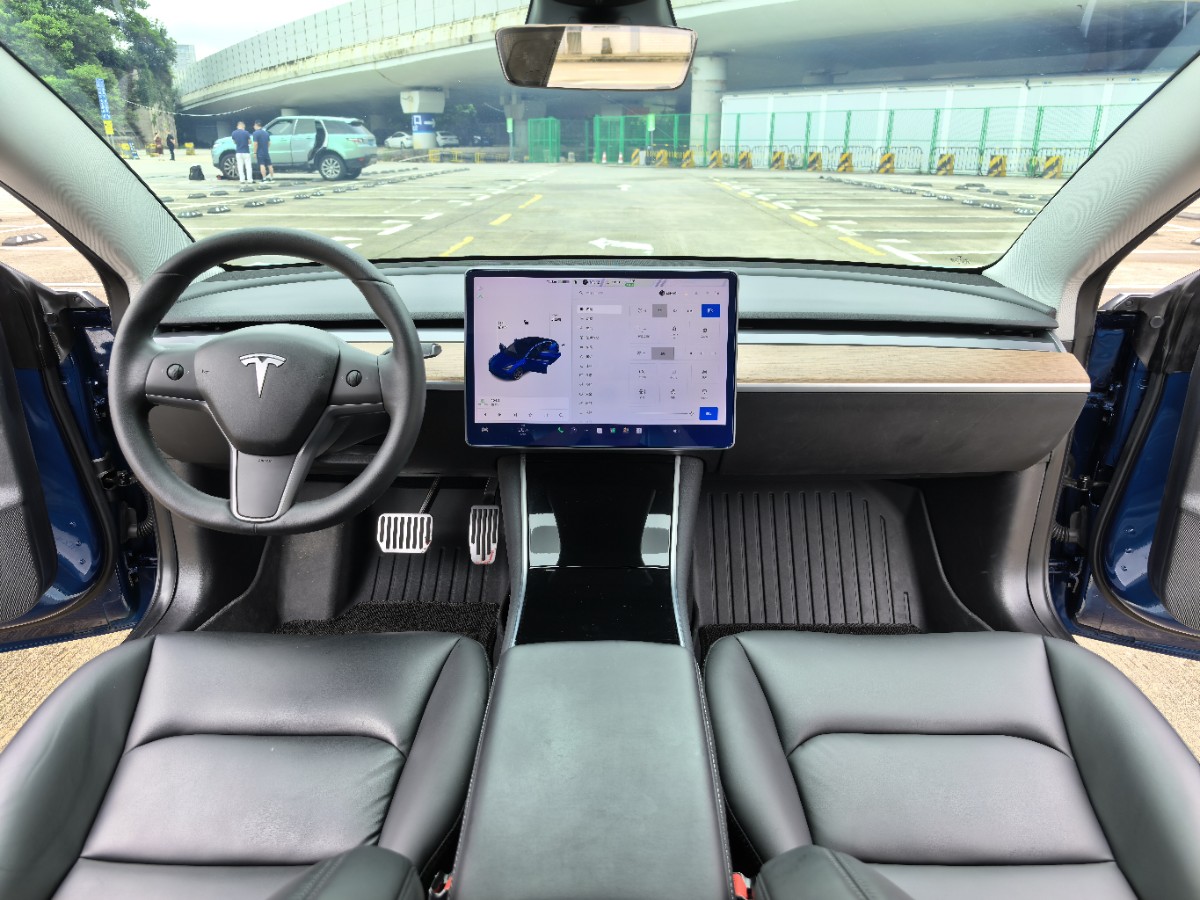 Tesla Model 3 2020 car image #6
