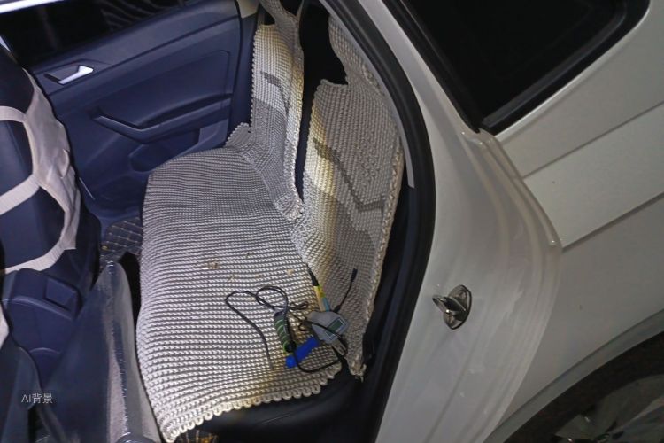 Volkswagen Lavida 2024 car image #19