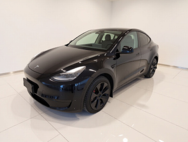 Tesla Model Y 2023 car image 