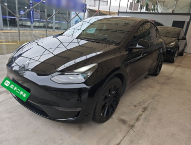 Tesla Model Y 2021 Tesla Model Y 2021 car image