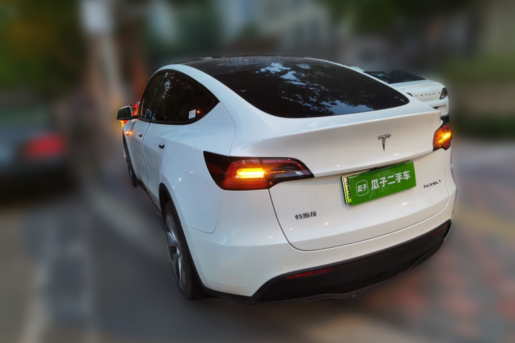 Tesla Model Y 2022 #5 Tesla Model Y 2022 car image #5