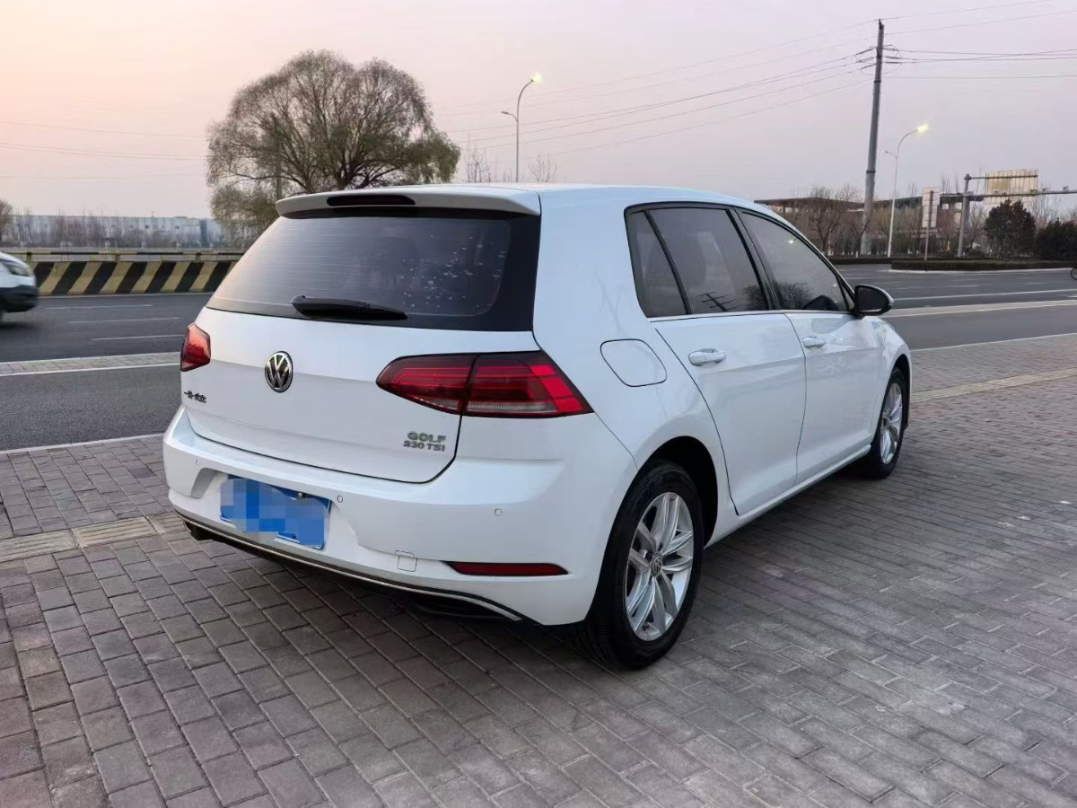 Volkswagen Golf 2019 #4 Volkswagen Golf 2019 car image #4