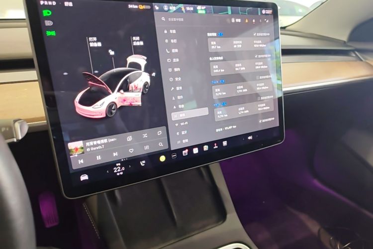 Tesla Model 3 2021 #13 Tesla Model 3 2021 car image #13