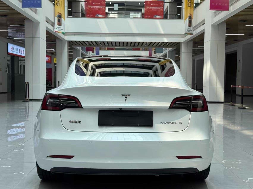 Tesla Model 3 2022 car image #6